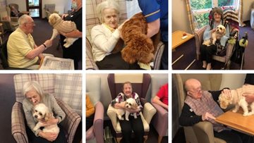 Pet therapy at The Village